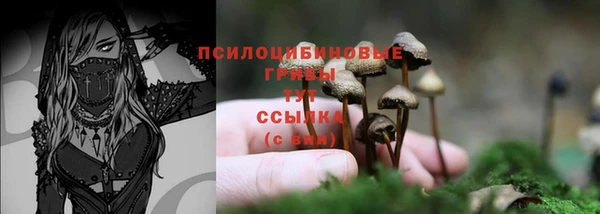 стафф Аркадак