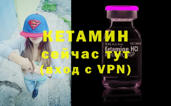 стафф Аркадак
